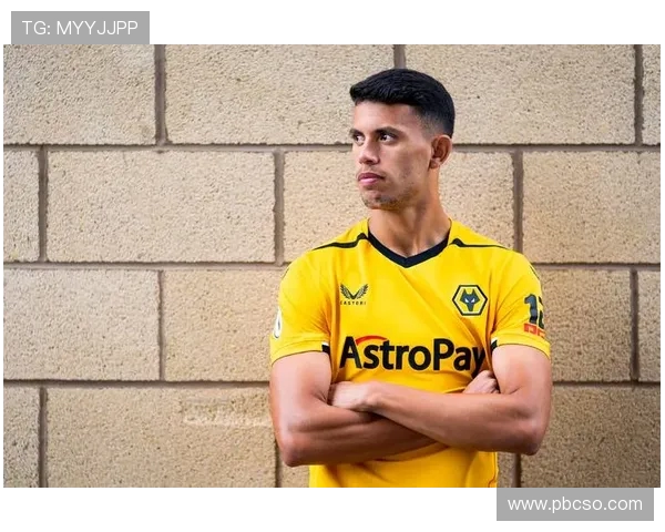 海纳力挺赫内斯：马特乌斯的转会费言论荒谬且不负责任